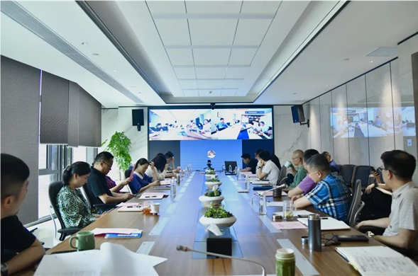 英国皇家化学会院士与彩运网集团共话氢能产业高质量发展